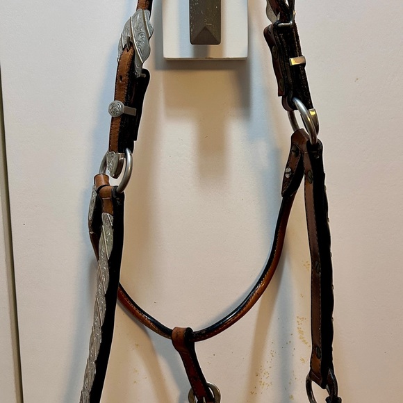 Circle Y show halter, design by Dale Chavez - Picture 2 of 10